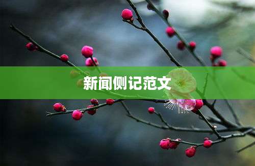 新闻侧记范文