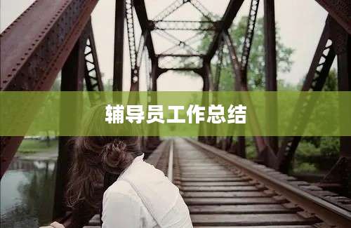 辅导员工作总结
