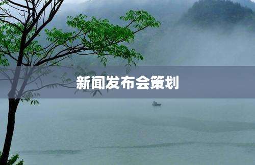 新闻发布会策划