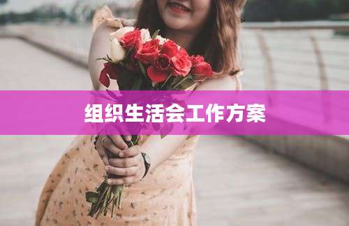 组织生活会工作方案
