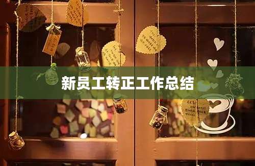 新员工转正工作总结