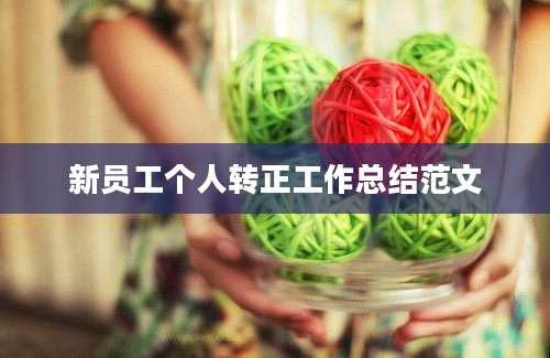 新员工个人转正工作总结范文