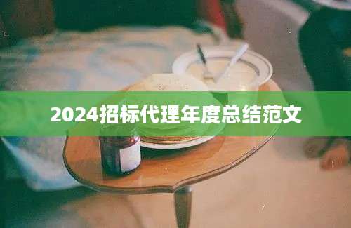 2024招标代理年度总结范文