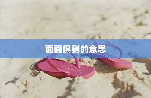 面面俱到的意思