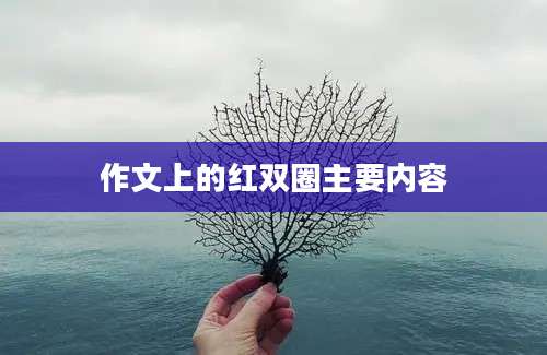 作文上的红双圈主要内容