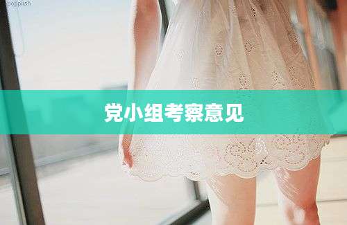 党小组考察意见
