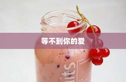 等不到你的爱
