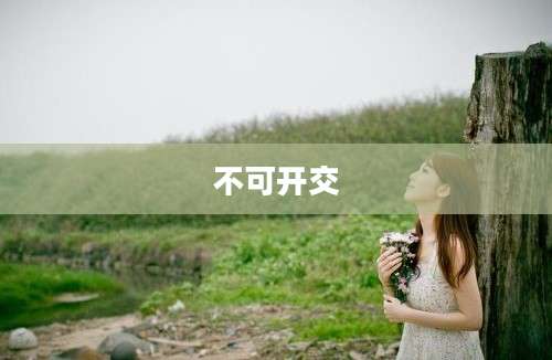 不可开交