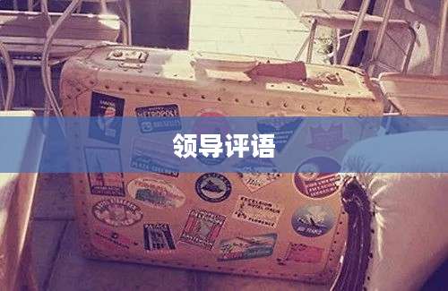 领导评语
