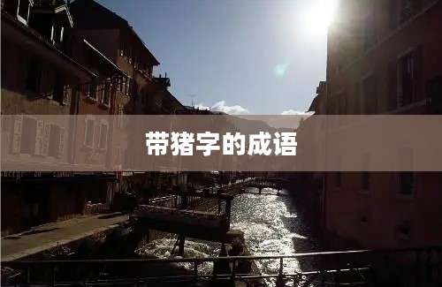 带猪字的成语