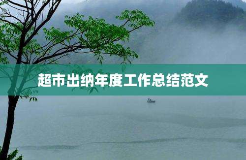 超市出纳年度工作总结范文