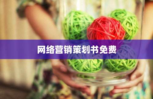 网络营销策划书免费