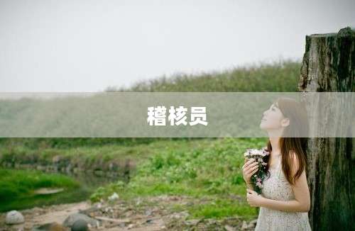 稽核员