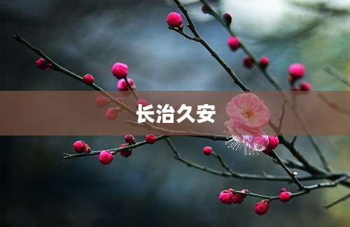 长治久安