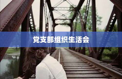 党支部组织生活会
