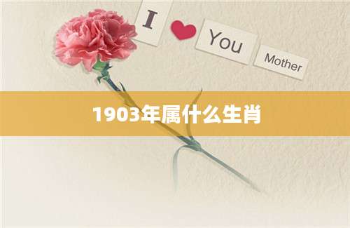 1903年属什么生肖