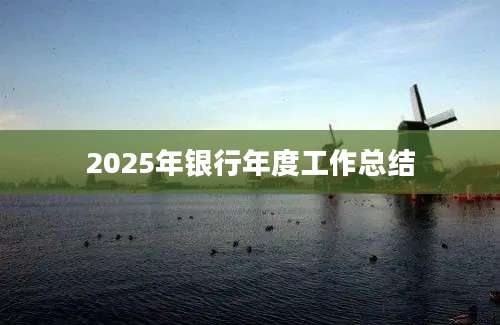 2025年银行年度工作总结