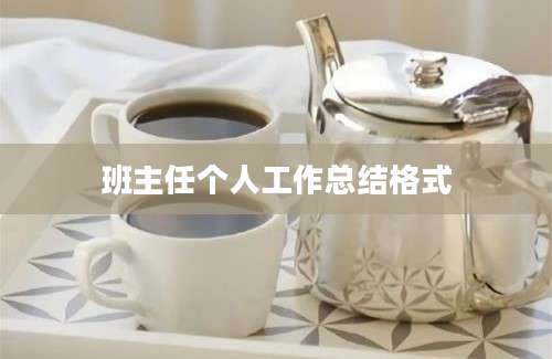 班主任个人工作总结格式