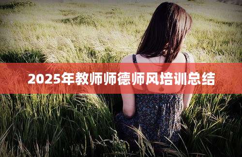 2025年教师师德师风培训总结