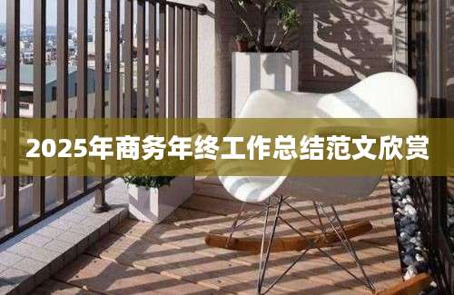 2025年商务年终工作总结范文欣赏
