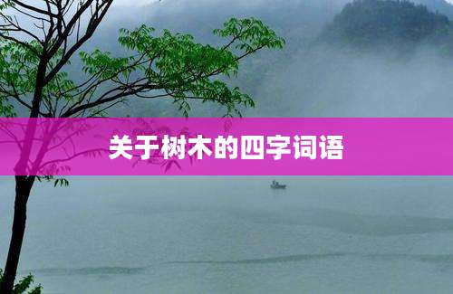 关于树木的四字词语