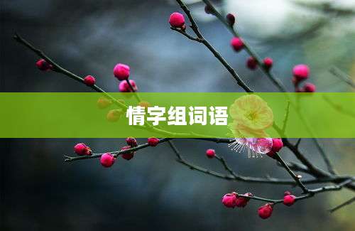 情字组词语