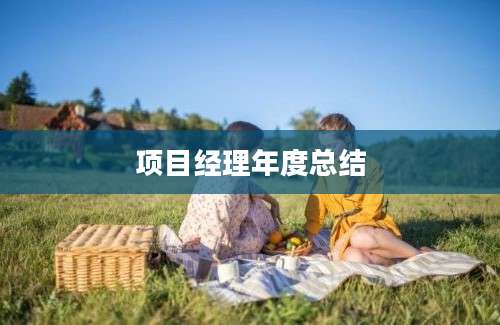 项目经理年度总结