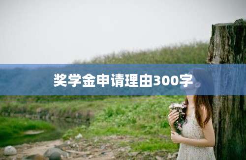 奖学金申请理由300字