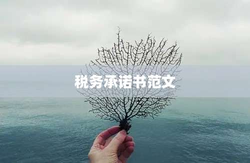 税务承诺书范文