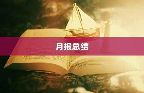 月报总结