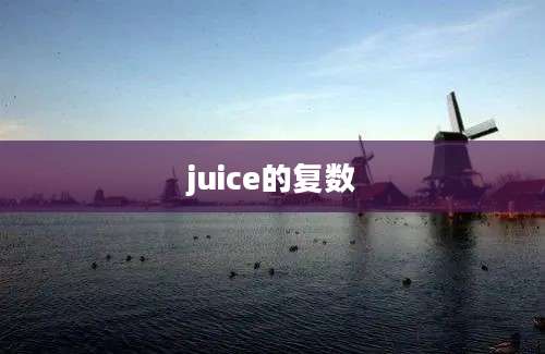 juice的复数