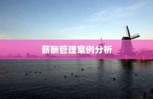 薪酬管理案例分析