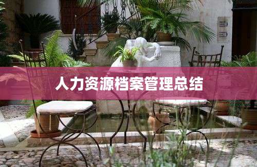 人力资源档案管理总结