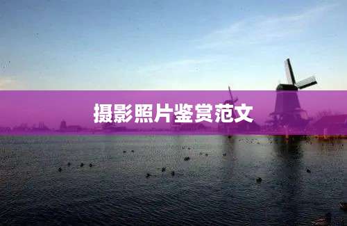 摄影照片鉴赏范文