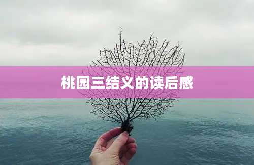 桃园三结义的读后感