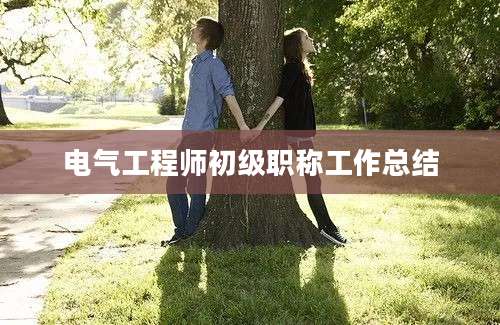 电气工程师初级职称工作总结