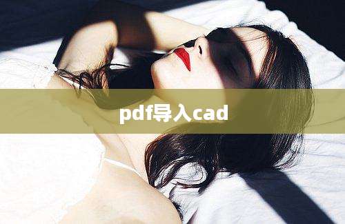 pdf导入cad