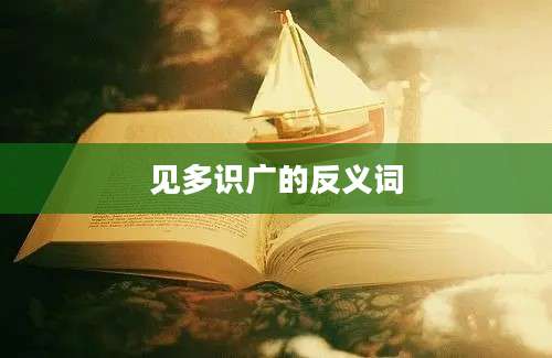 见多识广的反义词