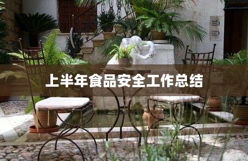 上半年食品安全工作总结