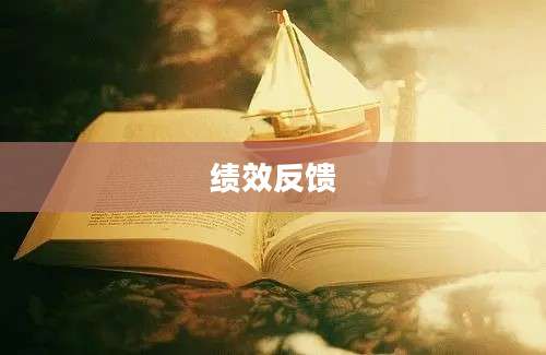 绩效反馈