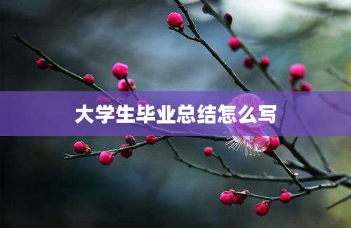 大学生毕业总结怎么写