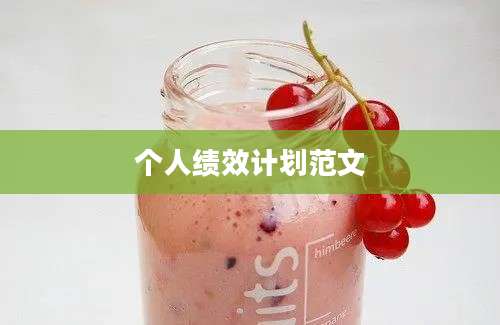 个人绩效计划范文