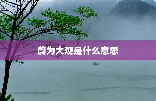 蔚为大观是什么意思