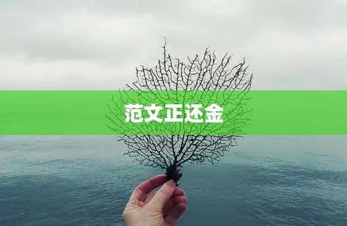 范文正还金