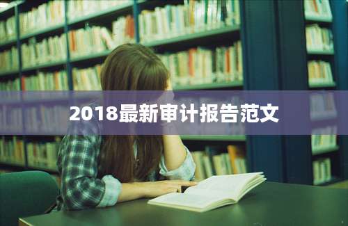 2018最新审计报告范文