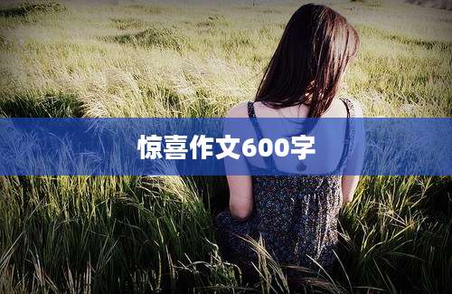 惊喜作文600字