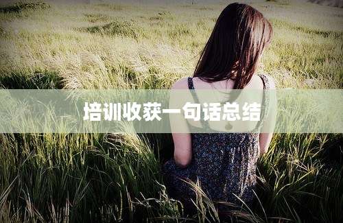 培训收获一句话总结