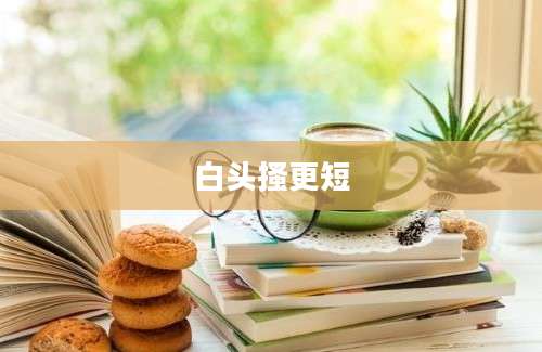 白头搔更短