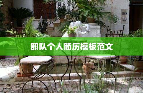 部队个人简历模板范文