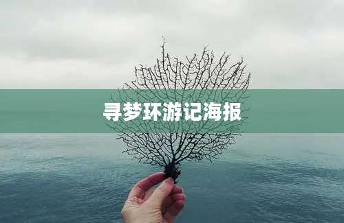 寻梦环游记海报